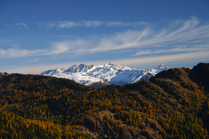 Herbstwald mit schneebedeckten Bergen und blauem Himmel